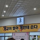 강아지 발치 후기 🦷 베를린동물치과센터 수술비·경과 총 정리(10개 발치 + 스케일링)