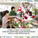 댄싱플라워교육원
