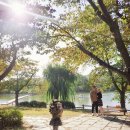 시은농장 이미지