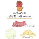 타코에잇 이미지