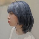 시프헤어 이미지