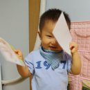 서진어린이집 네이버블로그