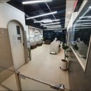 율하 위드동물병원 | 김해동물병원/율하위드동물병원/정보