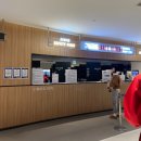 [서울/잠실] 롯데월드 아이스링크 다녀온 후기 겨울 실내 데이트 추천