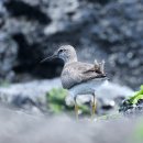 노랑제주 이미지