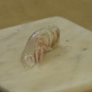 수원-1116 이미지