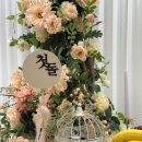 본영어린이집 | 파티올 청주점 돌잔치 후기