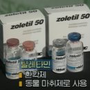 1995당구장