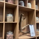 강화한의원 이미지