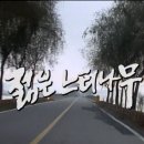 키스 더 유니버스 2:1부 우리는 혼자인가|| TV 문확관 :젊은 느티나무||만추(晩秋 ) 이미지