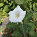 (주)뭉치 이미지