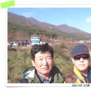 서촌초교 Daum카페