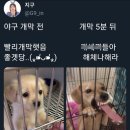 세진 이미지