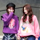 미야와키 사쿠라 카카오 검색결과