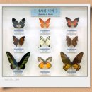 양지카운티 이미지