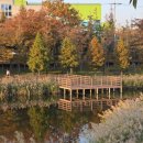 신평동1143 이미지