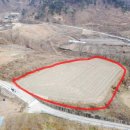 부등 농장 이미지