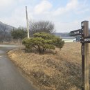 괴산-5 이미지
