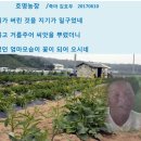 호명농장 이미지