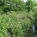 장수천공원 이미지