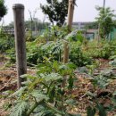 행복잡화 이미지