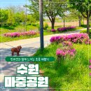 풀내음쉼터 | 수원 가볼만한 산책 명소 마중공원에서 여유 찾기