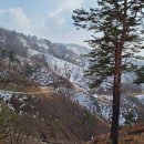 산등반점 네이버블로그