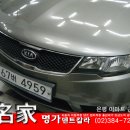 덴트칼라 이미지