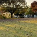 스테이무릉도원 이미지