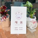 개미애견미용실 이미지