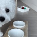 언제나 내곁에 이미지