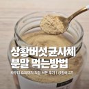 (주)류충현약용버섯 네이버블로그