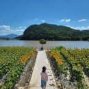 경주 별빛키즈 애견 풀빌라 이미지