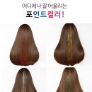 포인트헤어 이미지