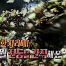 한미반점