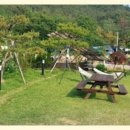 차니네민박 이미지