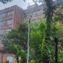 비봉태양광발전소 이미지