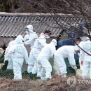 김영만농장 이미지