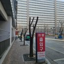 남부벌목