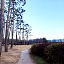 소나무전시관 화장실 이미지