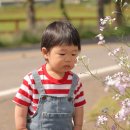 [제주 가족 스냅] 성이시돌목장 부담없는 30분 스냅 촬영 - 16개월 아기와 함께 다즐제주