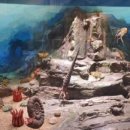 문경자연생태박물관 이미지