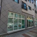 고양이 미용 미오 이미지