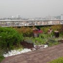 세기비료 이미지