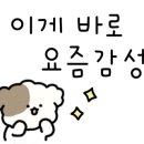 해피버트데이 이미지