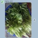 가지산라온