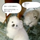 댕기랑