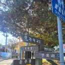 옥천군안남면보건지소 | 충북여행 옥천갈만한곳 독락정 둔주봉 등산로 한반도지형전망대