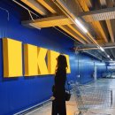 화진크리닝 | 여자겨울코디 추천, 블룸스버리 스티치 포인트 라인 원피스&amp; 벨트 롱 가디건