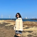 제주도 3박4일 여행코스 1일차(제주공항 마음샌드, 빌리카, 신창풍차해안도로, 모찌롱, 이호테우해변...